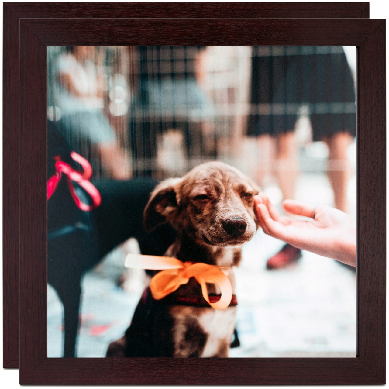 ArtToFrames 16x16 Inch Modern Picture Frame, Multi Pack, Comes with Regular Glass (WOMPack-46-16x16)